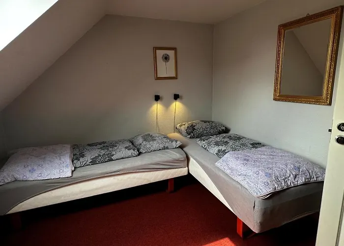 Oasen Viborg